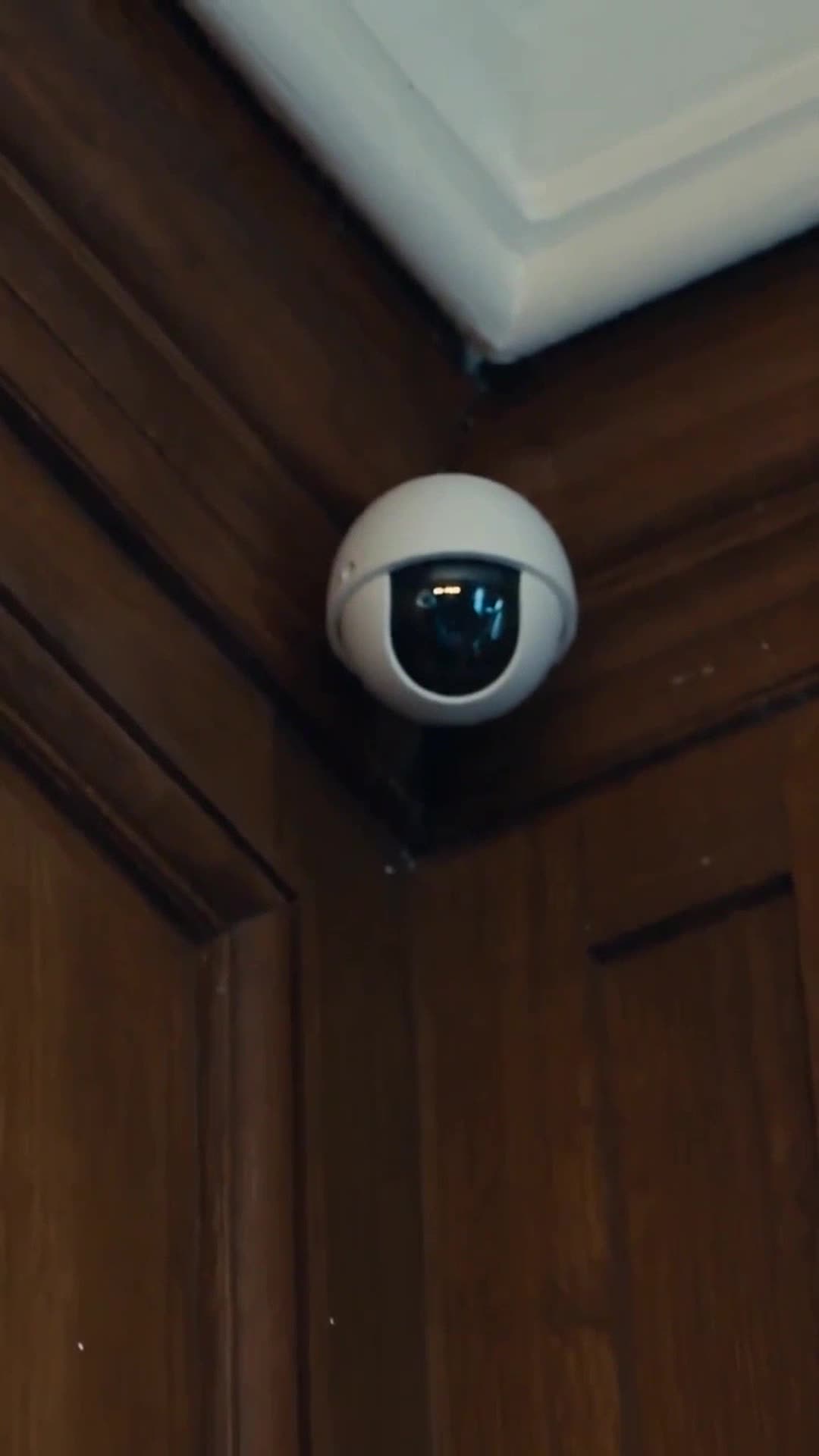 A dome security camera mounted discreetly in the mansion ceiling corner.